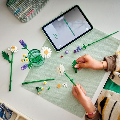 LEGO BOTANICALS 11508 STOKROTKI na Arena.pl