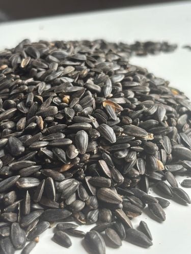 Słonecznik czarny 14 kg karma dla papug ziarno dla ptaków GRTIS kula tluszc na Arena.pl