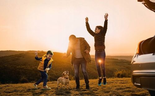 MATA DLA PSA DO SAMOCHODU OCHRONNA UNIWERSALNA POKROWIEC 4W1 SAMOCHODOWA na Arena.pl