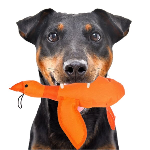 HappyPet Dazzle Ducks - piszcząca kaczka zdjęcie 1