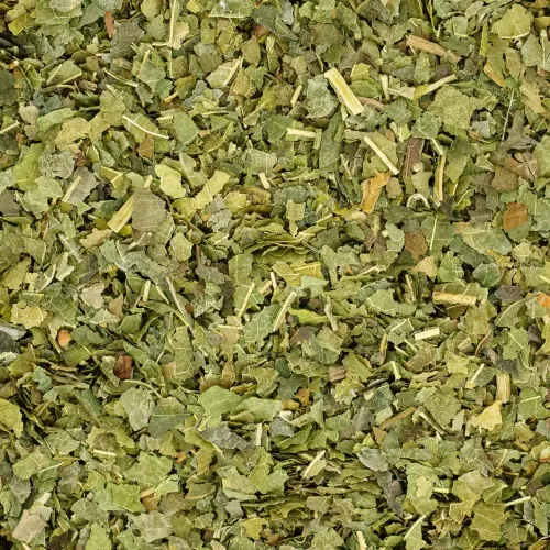 Morwa biała - liść krojony 500g na Arena.pl