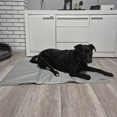 Mata Chłodząca dla Psa Kota Zwierząt Żelowa Składana XXL Legowisko 110x70cm na Arena.pl