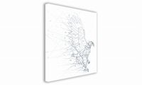 product-compare-61054274
