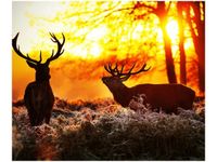 60X50CM RYKOWISKO OBRAZ ŚCIAN DREWNIANE