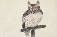 Plakat 86,4x56,8cm Owl 2, Hokusai Japoński Vintage do Salonu