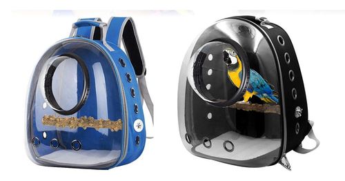 TRANSPORTER DLA PAPUG PTAKÓW NIMF ŻAKO GRZĘDA 2kol na Arena.pl