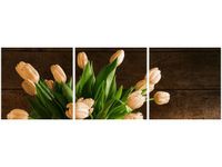 90X30CM RDZAWE TULIPANY TRÓJ OBRAZ