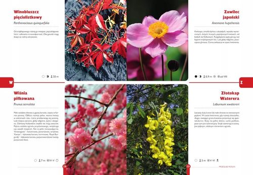 ROK W OGRODZIE Joanna Mikołajczyk OGRÓD I UPRAWA ROŚLIN ATLAS TWARDA na Arena.pl