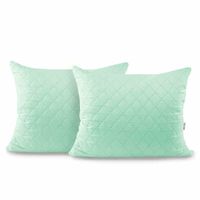 CHP/AXEL/MINT/50X60*2