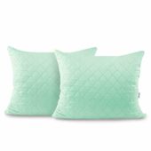 CHP/AXEL/MINT/50X60*2