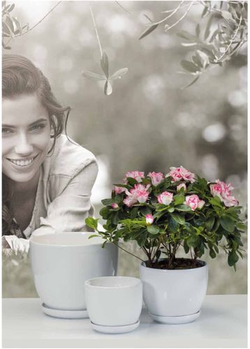 DONICZKA CERAMICZNA BARYŁKA 4 Jasne drzewo 22x17 cm na Arena.pl