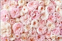 Tło fotograficzne Produktowe FLAT LAT Kulinarne