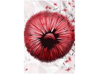 100 70CM OBRAZ PŁÓTNO CZERWONE DMUCHAWCE PŁÓTNO RAMA