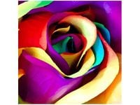 50X50CM MAJSTERSZTYK OBRAZ