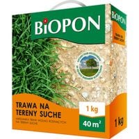 TRAWA NA TERENY SUCHE 1 KG - BR BIO-1206