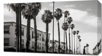 Obraz 70x40cm Spacer w Cieniu Palm