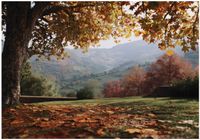 Fototapeta Winylowa Do Sypialni Salonu Krajobraz 250x175