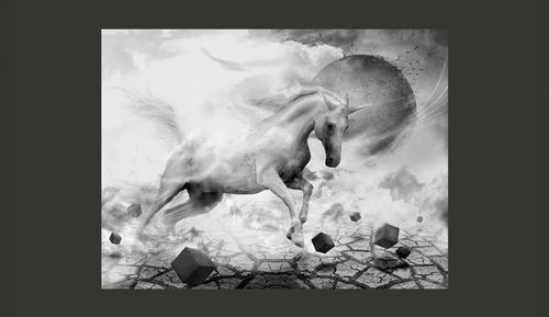 Fototapeta - Unicorn Rozmiar - 200x154 na Arena.pl