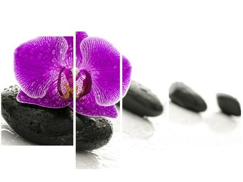 130CM 85 OBRAZ 4 ELEM STORCZYK KAMIENIU ŚCIENNY na Arena.pl