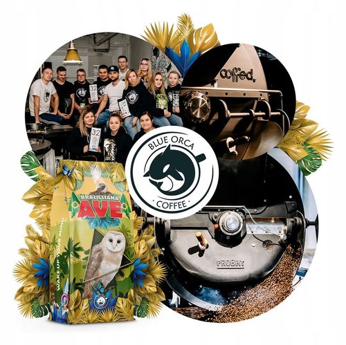 KAWA BRAZILLIA AVE ZIARNISTA 1KG -ŚWIEŻO PALONA Z PALARNI Z KAWY-BLUE ORCA na Arena.pl