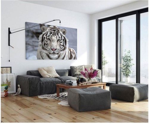 Obraz na płótnie - Canvas, Śnieżny tygrys 50x70 na Arena.pl