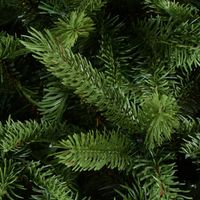 Choinka sztuczna Świerk PE Naturalny 180 cm