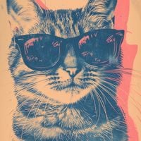 Plakat 70x70cm Trendsetter