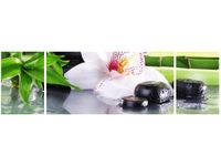 90CM 80 OBRAZ 3 ELEM KAMIENIE SPA STORCZYK ŚCIENNY