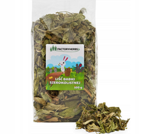 LIŚĆ BABKI SZEROKOLISTNEJ 100g Babka przysmak królika gryzoni FACTORYHERBS