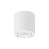 OPRAWA NATYNKOWA GU10 ALUMINIUM BIAŁA 35W REGULOWANA IP20