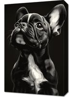 Obraz 40x60cm  Portret Zwierząt do Salonu | Buldog Francuski | Czarno Białe