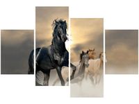 product-compare-58707325