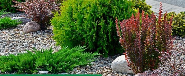 ROSAHUMUS 1kg nawóz organiczny kwasy humusowe POTAS POPRAWIA JAKOŚĆ GLEBY zdjęcie 11