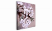 OBRAZ NA PŁÓTNIE 050 Kwiaty 50x50cm