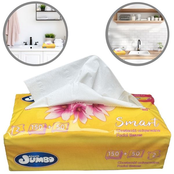 5000 szt. Wyciągane Chusteczki higieniczne Słonik Jumbo SMART 25x200 Karton zdjęcie 4