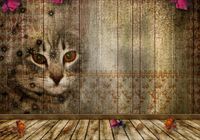 FOTOTAPETA deski kot zwierzęta 3D 200x130 Flizelin