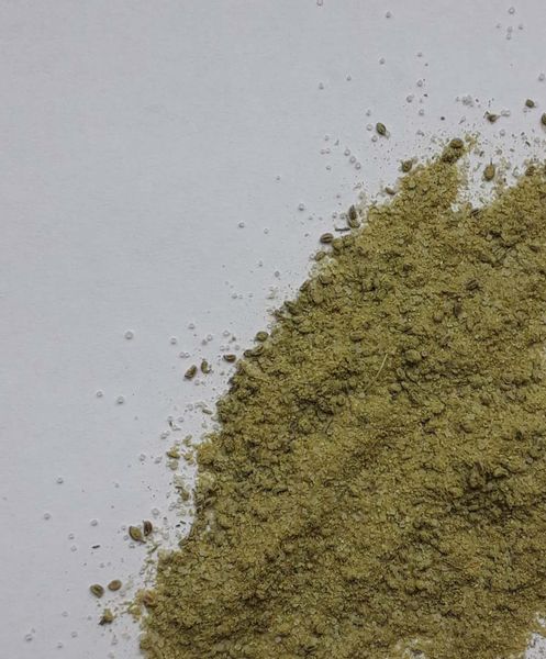 Sól Selerowa 50g zdjęcie 2