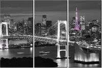 60 90CM OBRAZ 3 ELEM NOCNY WIDOK DRUK PŁÓTNO RAMA