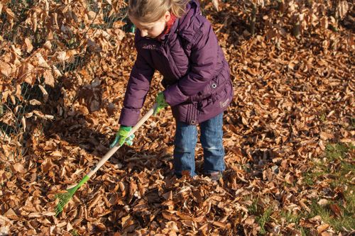 Dziecięce grabie do liści na Arena.pl