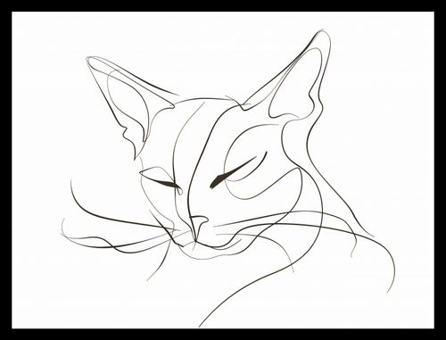 Plakat 40x30cm Linijny Kot na Arena.pl