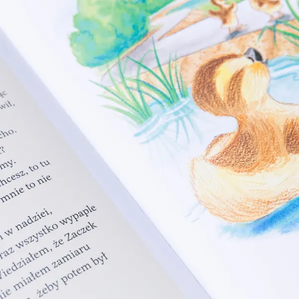 Kaczorek Kwaczek i lekcja pokory zdjęcie 6