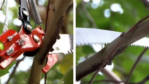 SEKATOR GĄSIENICOWY DO GAŁĘZI TELESKOPOWY ŻYRAFA NA TELESKOP WYSIĘGNIK zdjęcie 6