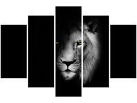 product-compare-58694351