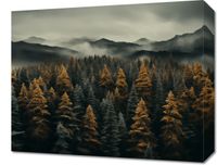 Obraz 50x40cm Mglisty Poranek
