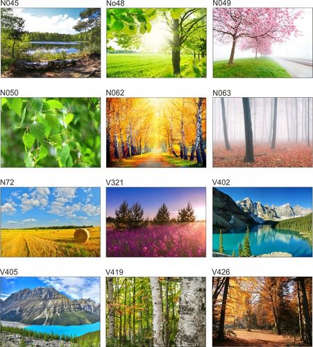 Fototapeta 3D WIDOK most w górach 260x200 FLI na Arena.pl