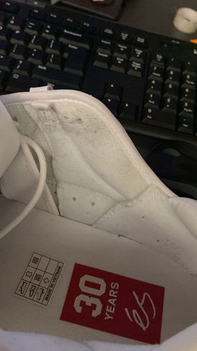 éS Two Nine 8 Buty r47 na Arena.pl