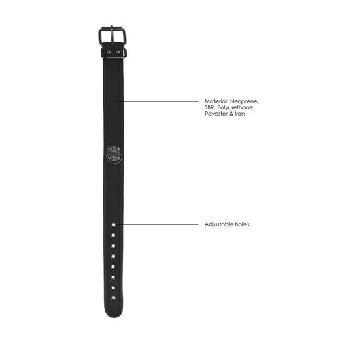 Neoprene Collar With Leash na Arena.pl