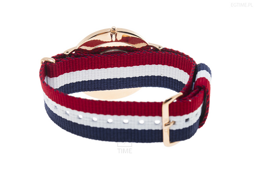 PASEK DANIEL WELLINGTON 0103DW - 20 mm na Arena.pl