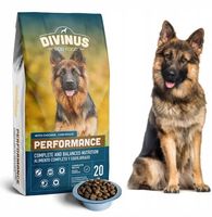 DIVINUS PERFORMANCE DLA OWCZARKA KARMA SUCHA 20KG