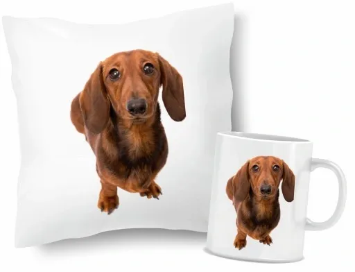 Zestaw PODUSZKA + KUBEK JAMNIK zdjęcie 1